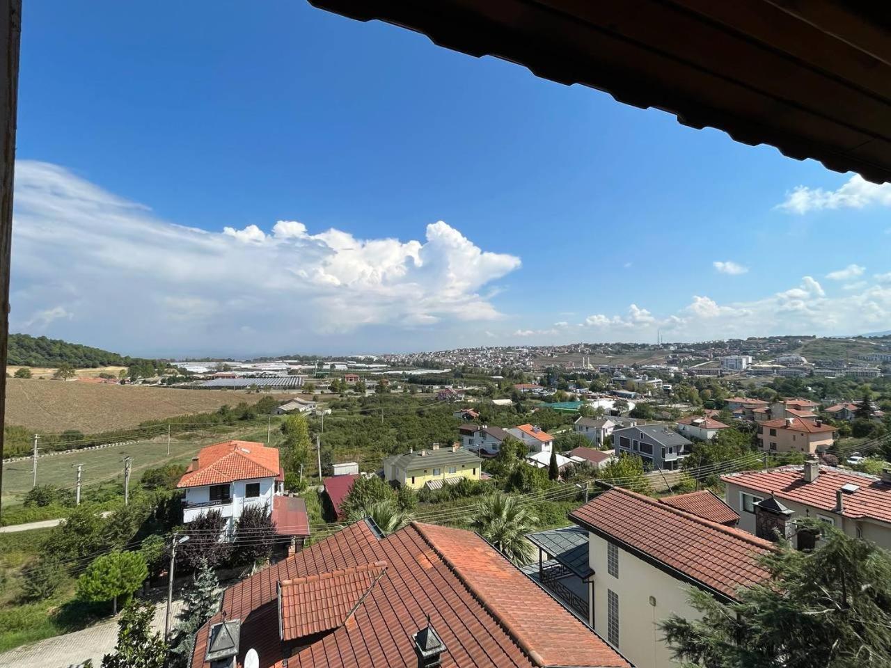 Yalova Halic * Yalova (Yalova)